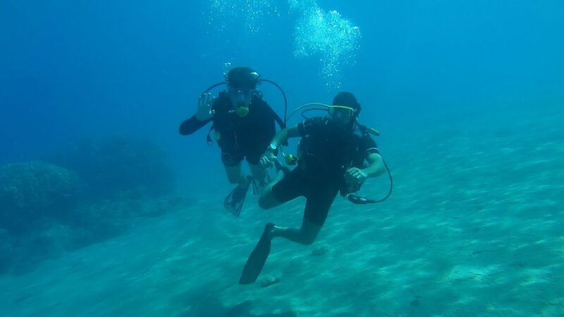 Syracuse : Scuba Diving for Beginners in the Plemmirio Area - Preparing for Your Adventure