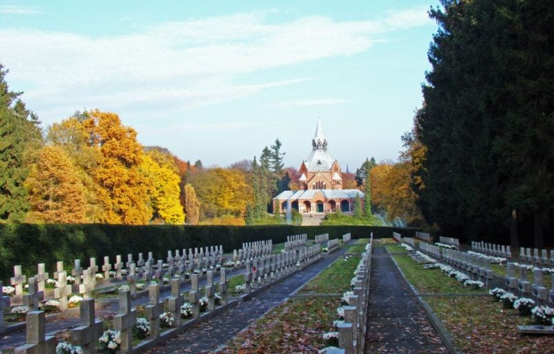 Szczecin: Old Town Highlights Private Walking Tour - About the Tour Provider