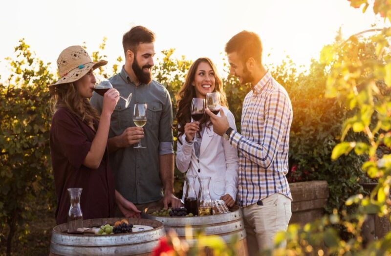 Szczecin Wine Tasting Private Tour With Wine Expert - Tour Highlights