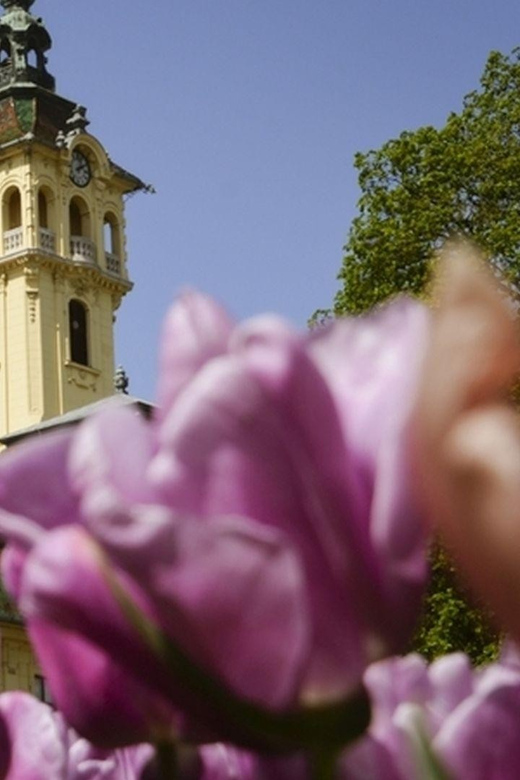 Szeged In-App Audio Tour: Exploring the Hungarian Gem - Tour Experience and Highlights