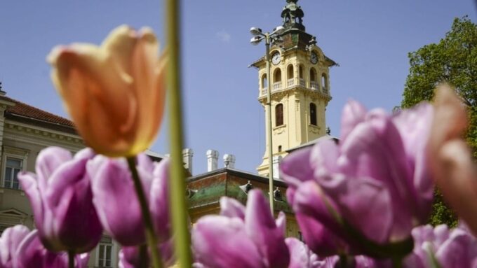 Szeged In-App Audio Tour: Exploring the Hungarian Gem - Exploring the Citys History