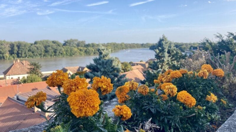 Szentendre: Arts and Cafés Tour (Half-Day Private Tour) - Visiting Local Attractions