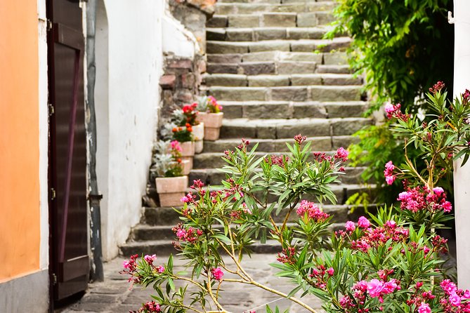 Szentendre Tour - Transportation Options
