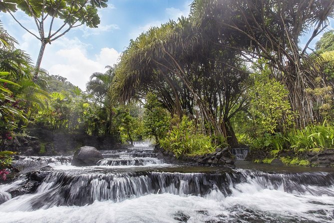 Tabacon Hot Springs Day Pass - Natural Hot Springs Experience