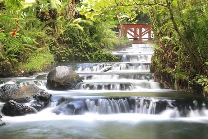 Tabacon Hot Springs Day Pass - Guest Reviews
