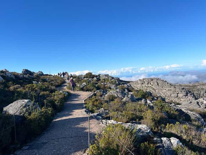 Table Mountain and Constantia Wine Tasting Private Tour - Itinerary Highlights