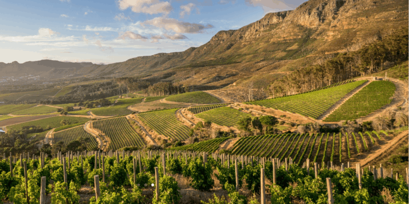 Table Mountain and Constantia Wine Tasting Private Tour - Included Services