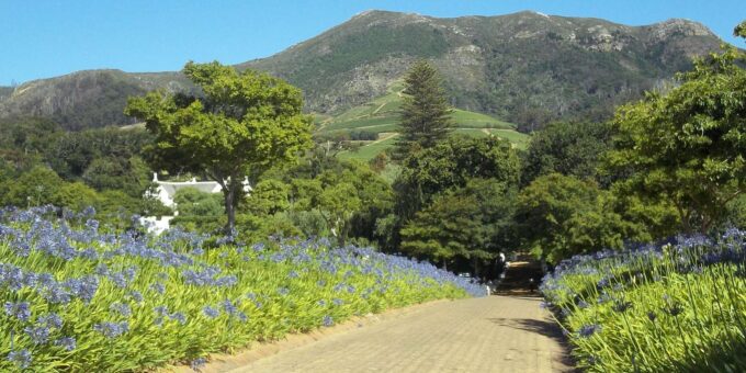 Table Mountain and Constantia Wine Tasting Private Tour - Important Notes