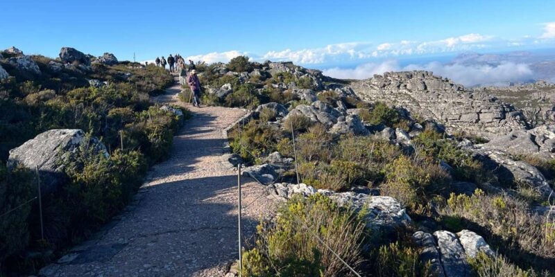 Table Mountain and Guided City Sightseeing Tour in Cape Town - Itinerary Highlights