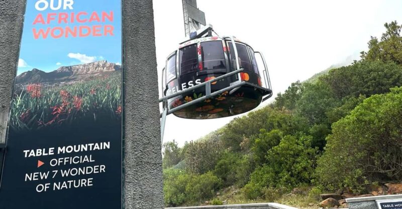 Table Mountain Boulders Beach and Cape Point - Itinerary Highlights