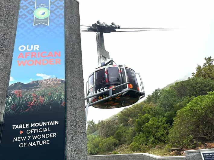 Table Mountain Boulders Beach and Cape Point - Wildlife and Natural Attractions