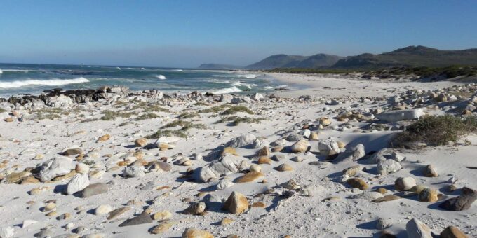 Table Mountain Boulders Beach and Cape Point - Frequently Asked Questions