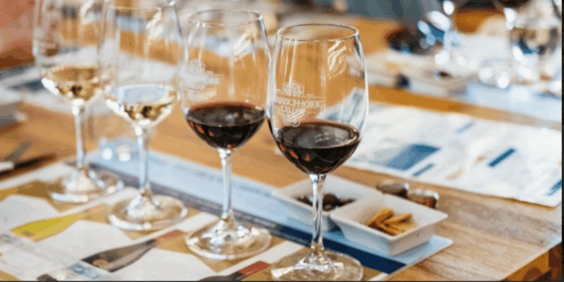 Table Mountain, Boulders Beach and Wine Tasting Tour - Scenic Views and Highlights