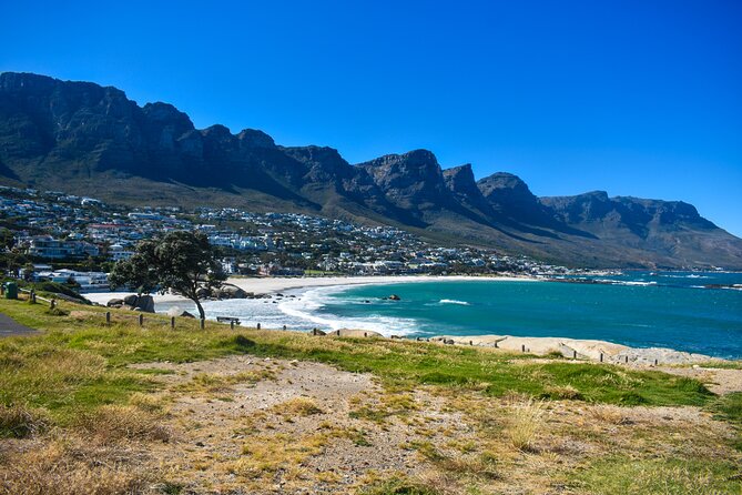 Table Mountain, Boulders Penguins & Cape Point, Private Day Tour - Pickup and Accessibility