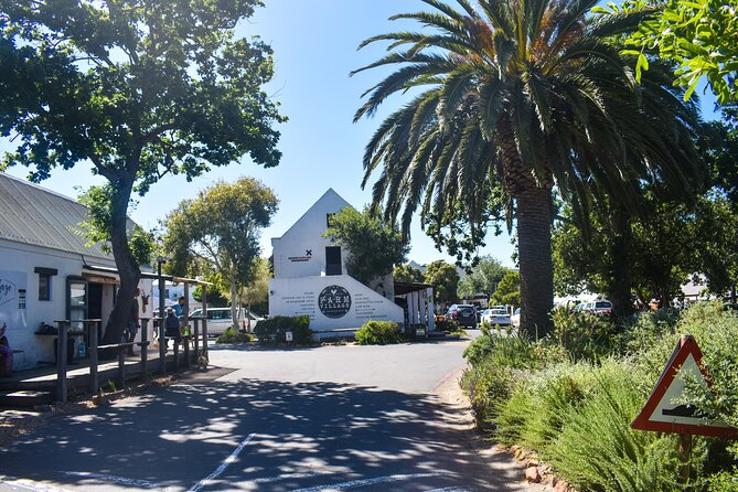 Table Mountain, Boulders Penguins & Cape Point, Private Day Tour - Explore Table Mountain