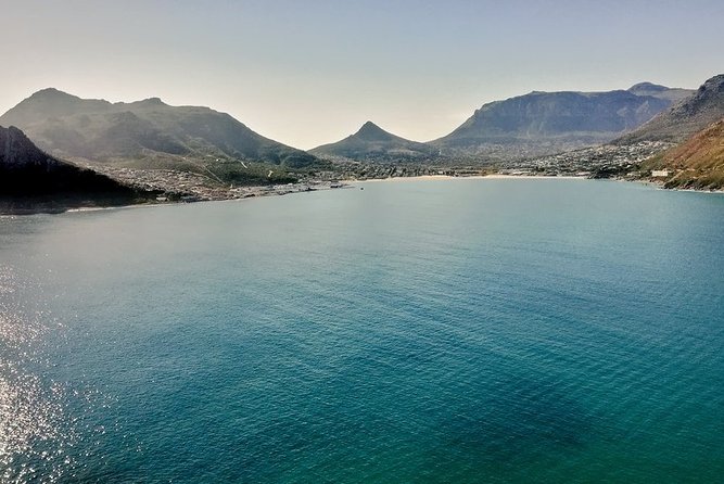 Table Mountain, Boulders Penguins & Cape Point, Private Day Tour - Discover Cape Point National Park