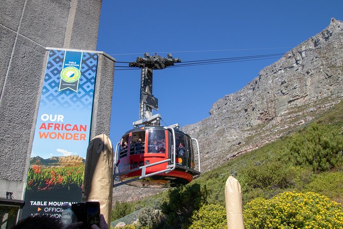 Table Mountain, Boulders Penguins & Cape Point Private Tour From Cape Town - Confirmation and Logistics