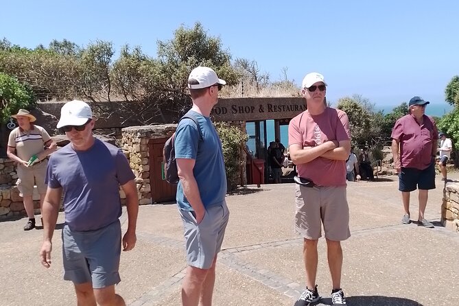 Table Mountain, Cape of Good Hope & Penguins - Encountering the Penguins