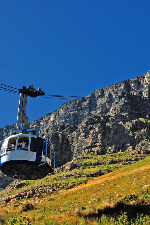 Table Mountain & Cape Town City Half Day Guided Tour - Itinerary Highlights