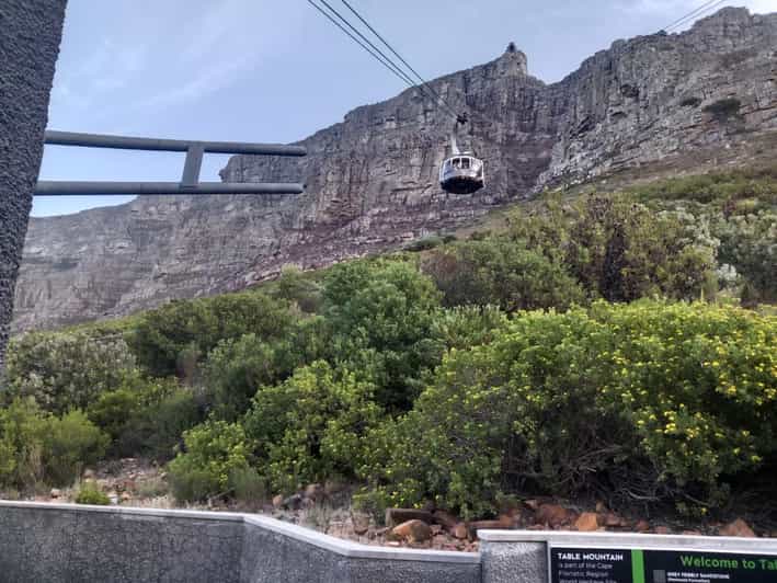 Table Mountain & Constantia Wine Tasting Full Day Tour - Key Points