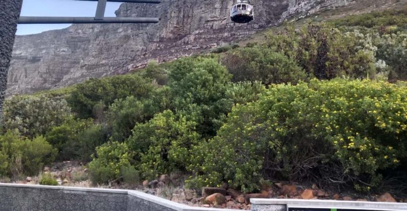 Table Mountain & Constantia Wine Tasting Full Day Tour - Highlights and Attractions