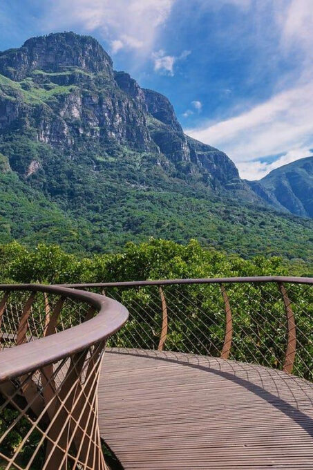 Table Mountain & Constantia Wine Tasting Full Day Tour - Main Stops