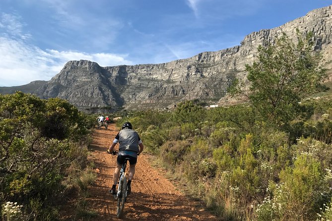 Table Mountain Cycling Experience - Transportation and Equipment