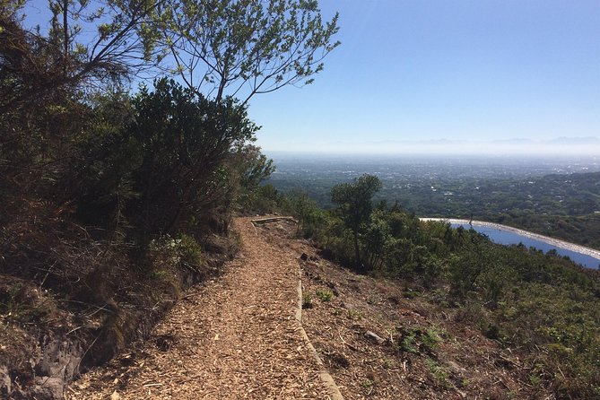 Table Mountain Cycling Experience - Positive Customer Reviews