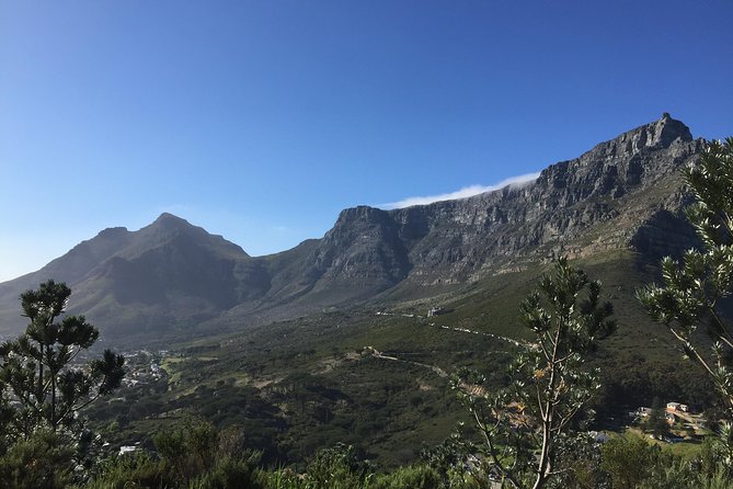 Table Mountain Hike (All Routes) - Private Tour - Guided Experience