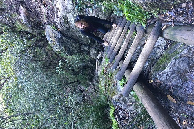 Table Mountain Hike (All Routes) - Private Tour - Participant Feedback