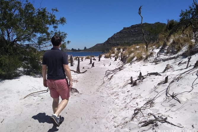 Table Mountain Hike (All Routes) - Private Tour - Tour Highlights