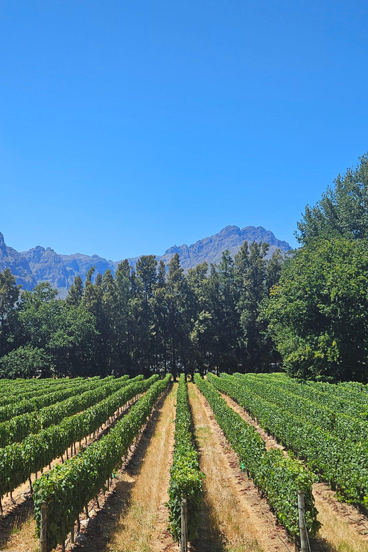 Table Mountain, Historic City & Winelands Private Day Tour. - Inclusions