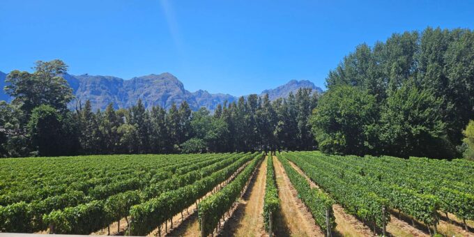 Table Mountain, Historic City & Winelands Private Day Tour. - Frequently Asked Questions