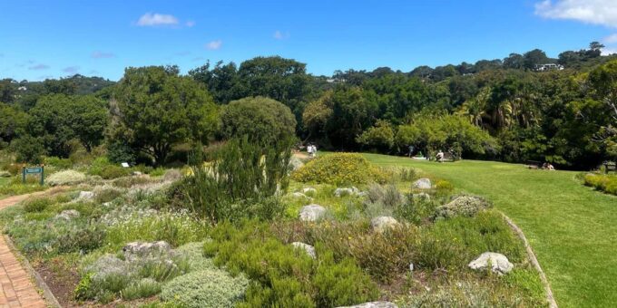 Table Mountain, Kirstenbosch Garden & Constantia Winery Tour - Exploring Table Mountain