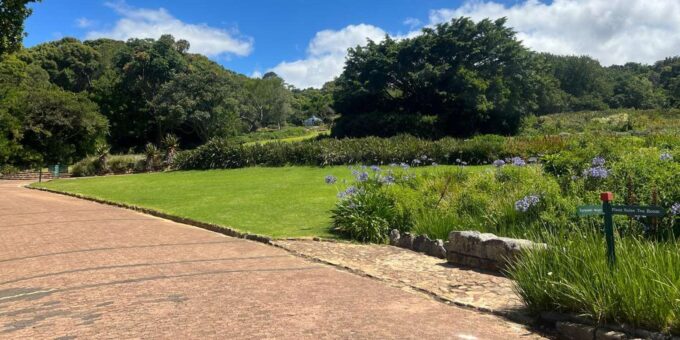 Table Mountain, Kirstenbosch Garden & Constantia Winery Tour - Tasting Wines in Constantia