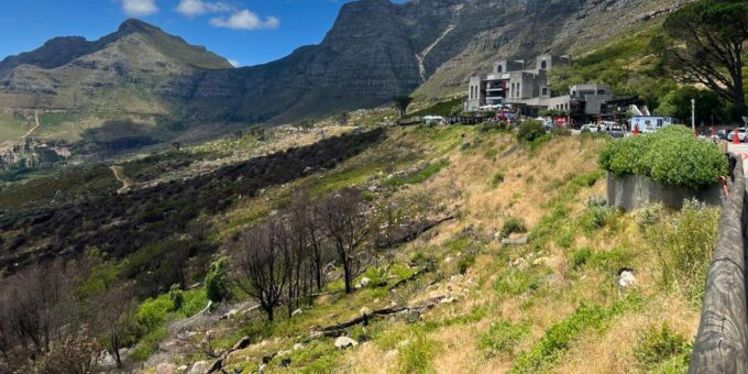 Table Mountain, Kirstenbosch Garden & Constantia Winery Tour - Frequently Asked Questions
