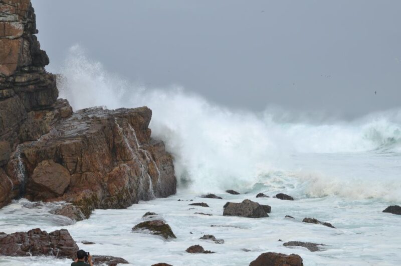 Table Mountain, Penguins & Cape of Good Hope Private Tour - Majestic 12 Apostles Rock Formations