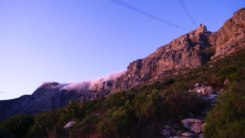 Table Mountain, Penguins & Cape of Good Hope Private Tour - Exploring Cape Point Nature Reserve
