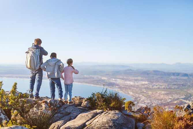 Table Mountain, Penguins & Cape of Good Hope Small Group Top Tour From Cape Town - Inclusions and Fees