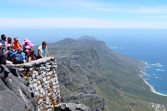 Table Mountain, Penguins & Cape of Good Hope Small Group Top Tour From Cape Town - Traveler Reviews