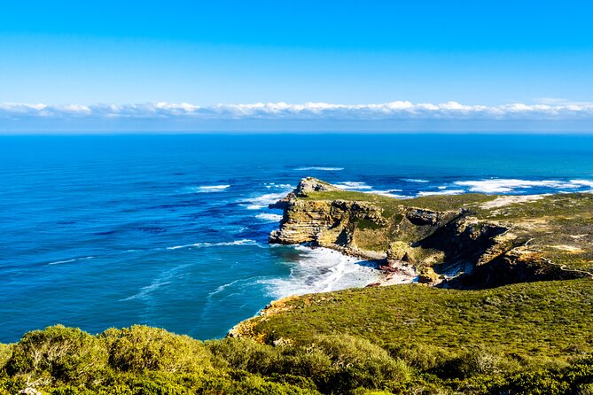Table Mountain, Penguins & Cape of Good Hope Small Group Top Tour From Cape Town - Discovering Boulders Beach Penguins
