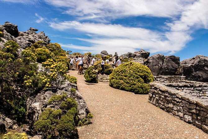 Table Mountain, Signal Hill, Chapmans Peak, Cape Point & Penguins - Private Excursion