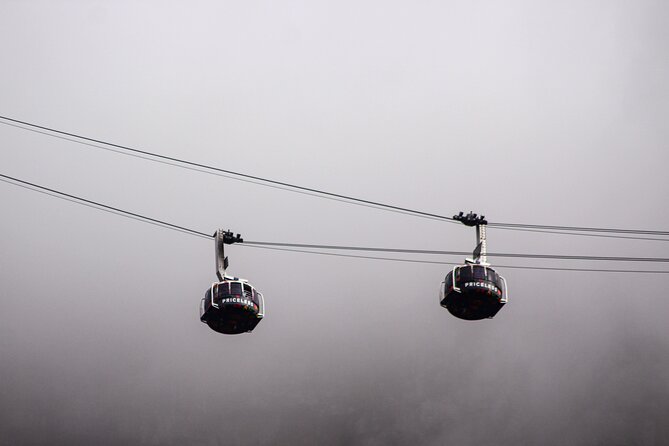 Table Mountain, Signal Hill, Chapmans Peak, Cape Point & Penguins - Transportation and Access