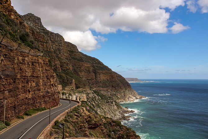 Table Mountain, Signal Hill, Chapmans Peak, Cape Point & Penguins - Pricing and Booking