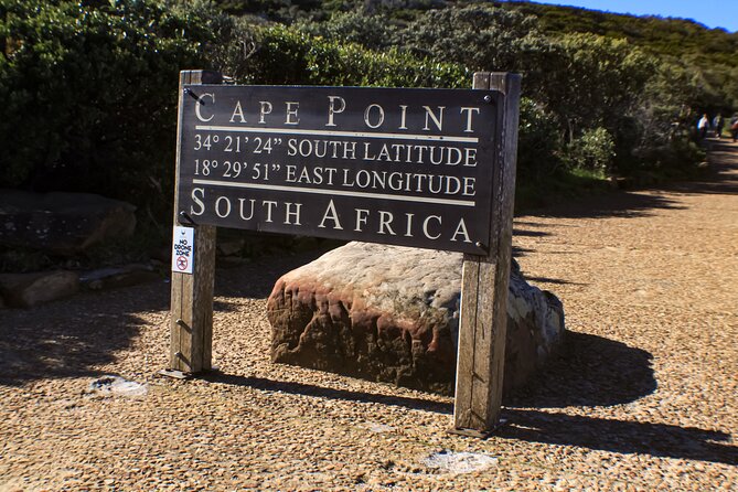 Table Mountain, Signal Hill, Chapmans Peak, Cape Point & Penguins - Guest Experiences