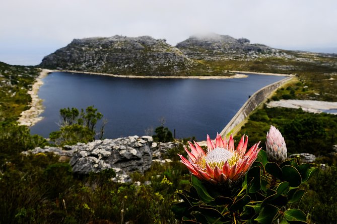 Table Mountain Summit Hike via Kasteelspoort - Meeting Point and Pickup