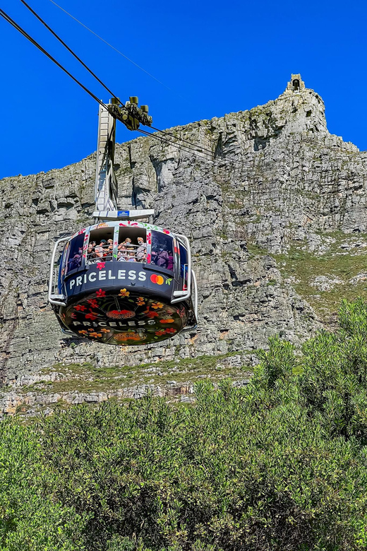 Table Mountain & Wine Tasting in Franschhoek, Stellenbosch - Overview and Pricing