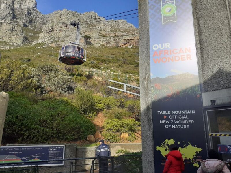 Table Mountain,Cape of Good Hope& Penguins Full Day Private - Key Points