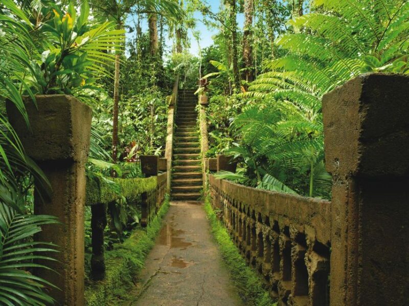 Tablelands Sights & Daintree Rainforest - Key Points