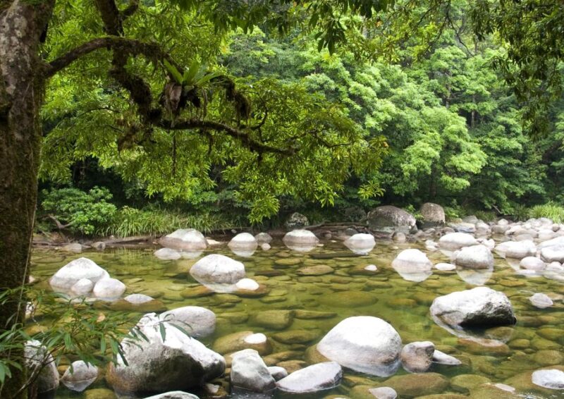 Tablelands Sights & Daintree Rainforest - Paronella Park Guided Tour